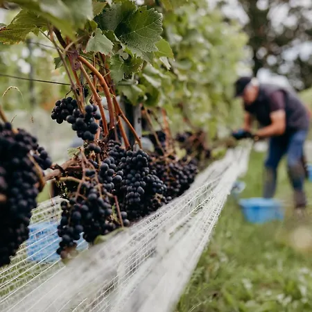 Parcpod Kapelkeshof Grashoek
